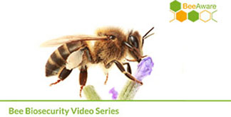 bee-biosecurity-video-series-generic-title-slide