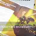 honey-bee-biosecurity-thumbnail